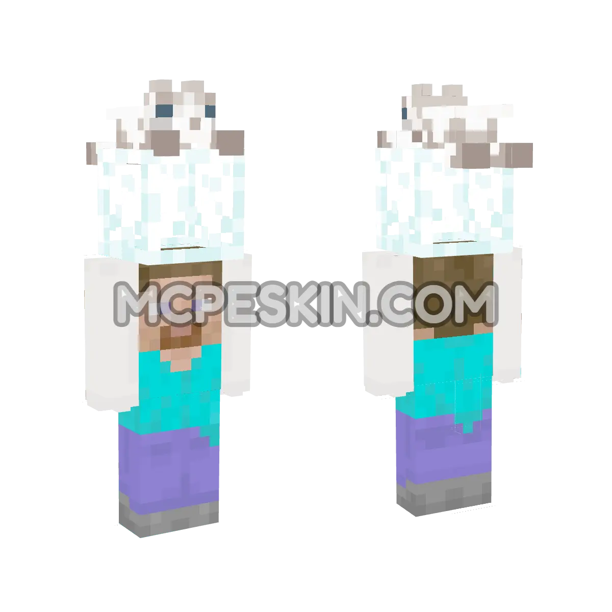 Steve Glass with Grey Kitty Hood 4D Minecraft Bedrock skin
