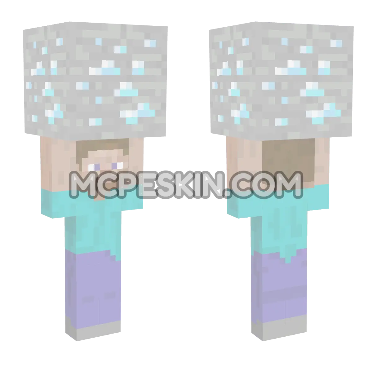 Steve Holding Block 4D Minecraft Bedrock skin