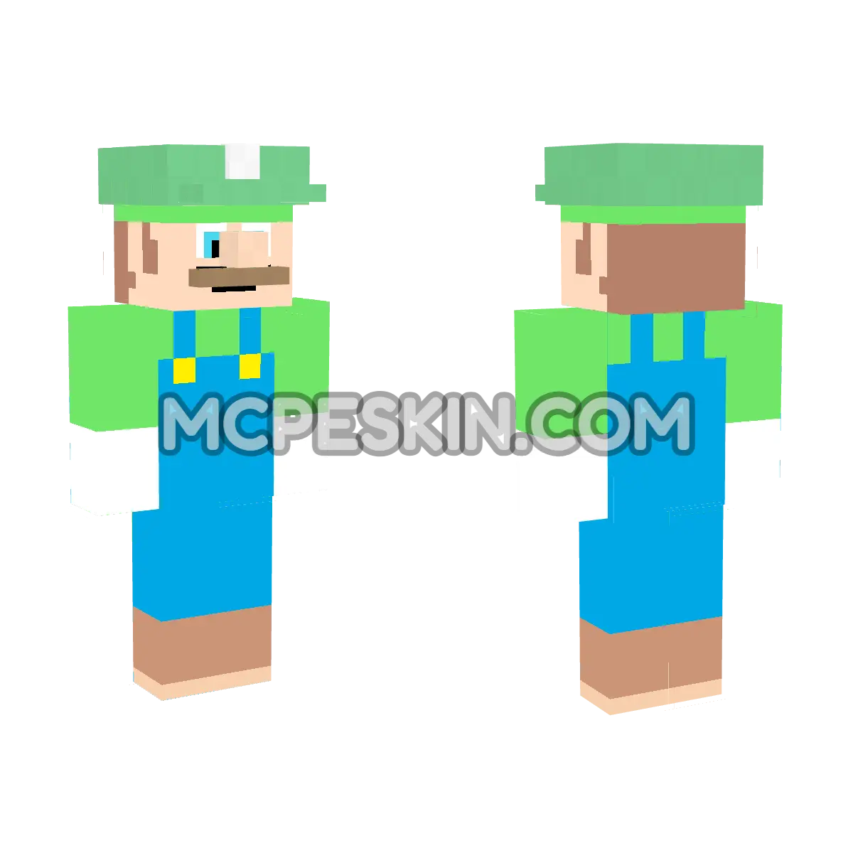 Super Bros Luigi 4D Minecraft Bedrock skin