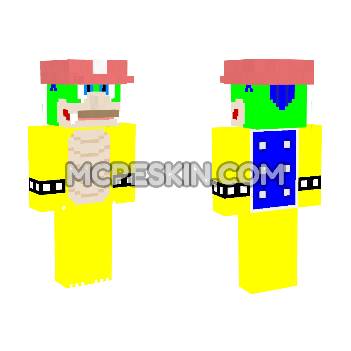 Super Mario 11 4D Minecraft Bedrock skin
