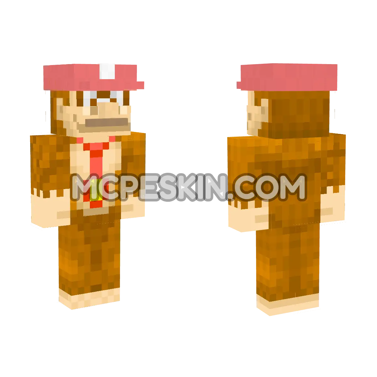 Super Mario 2 4D Minecraft Bedrock skin