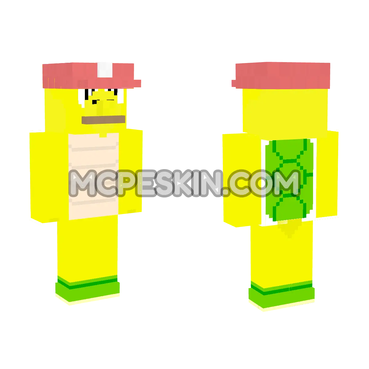 Super Mario 9 4D Minecraft Bedrock skin
