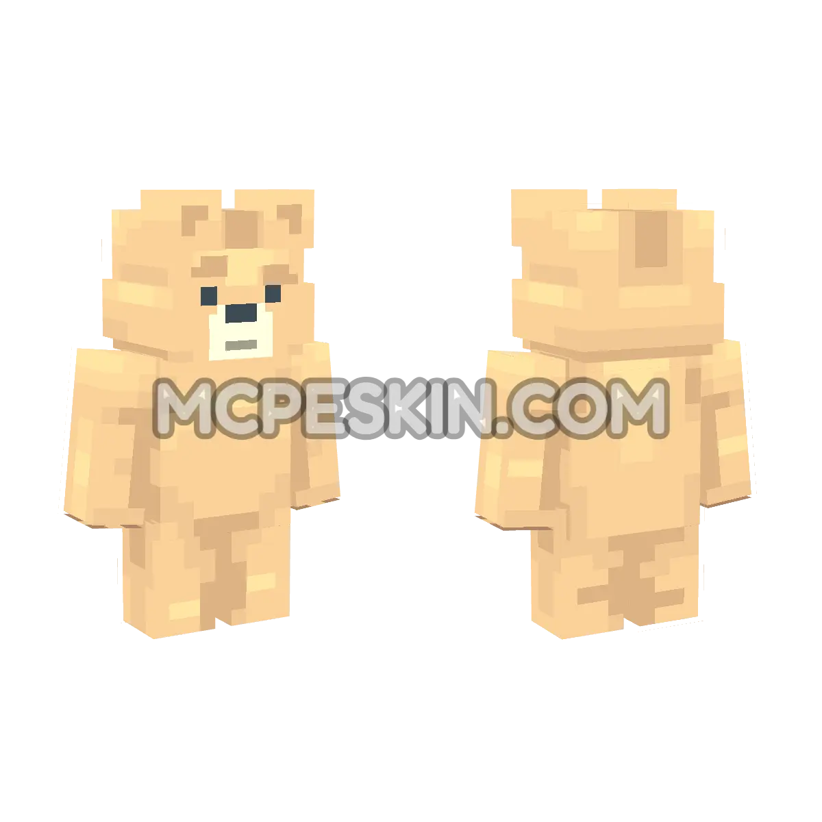ted 4D Minecraft Bedrock skin