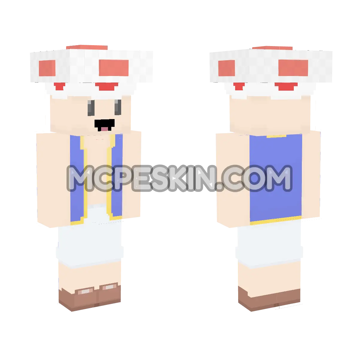 Toad 5 4D Minecraft Bedrock skin