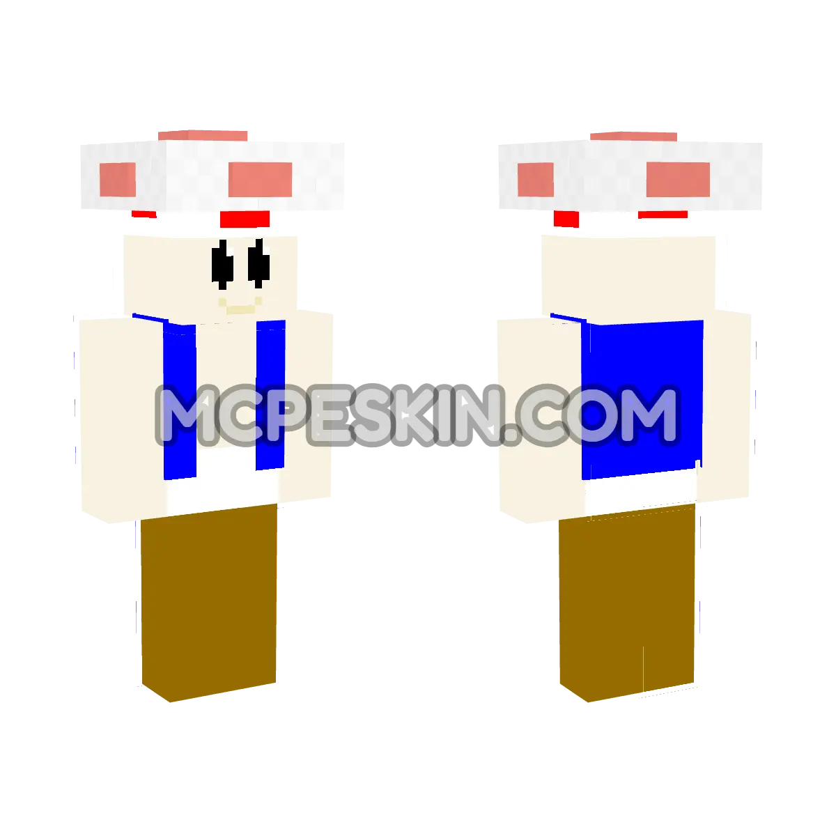 Toad 6 4D Minecraft Bedrock skin