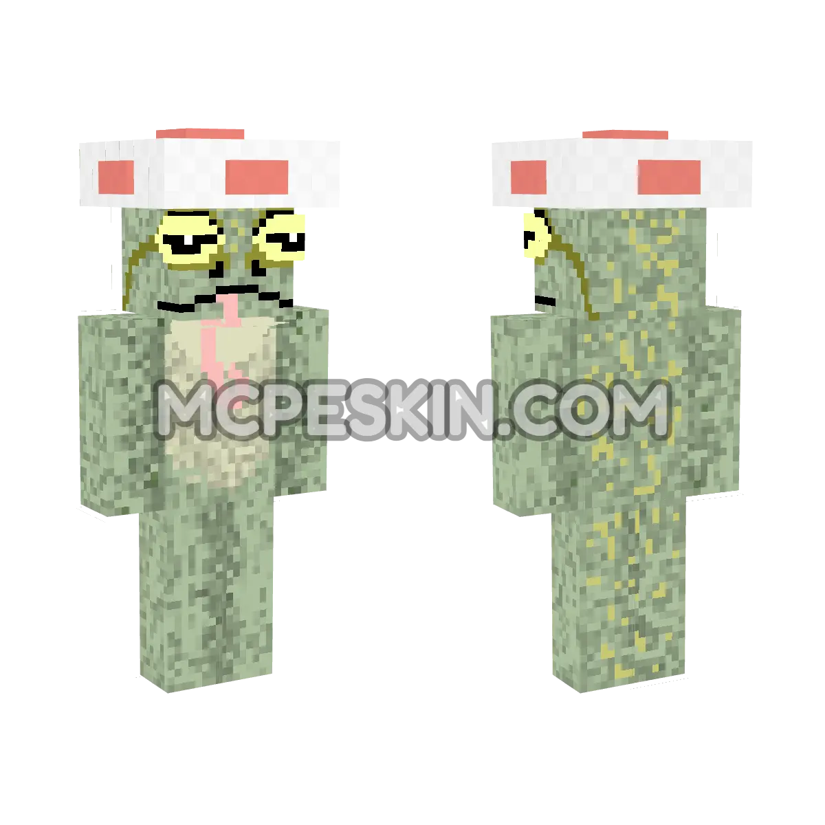 Toad 7 4D Minecraft Bedrock skin