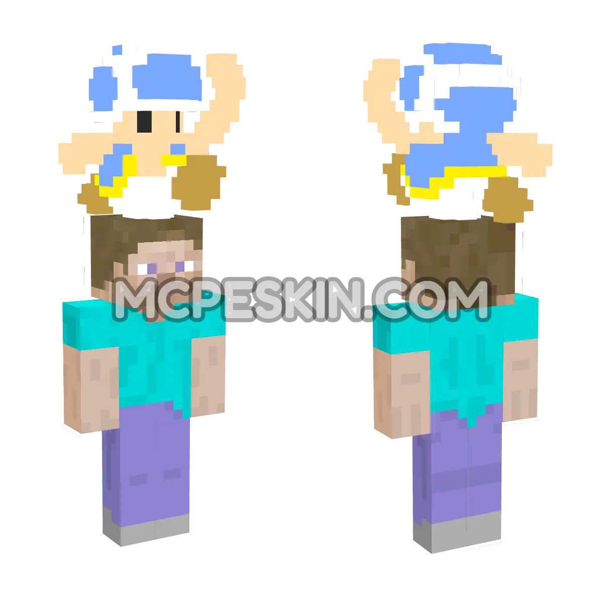 Toad 4D Minecraft Bedrock skin