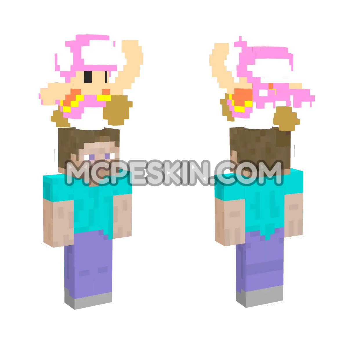 Toadette 4D Minecraft Bedrock skin