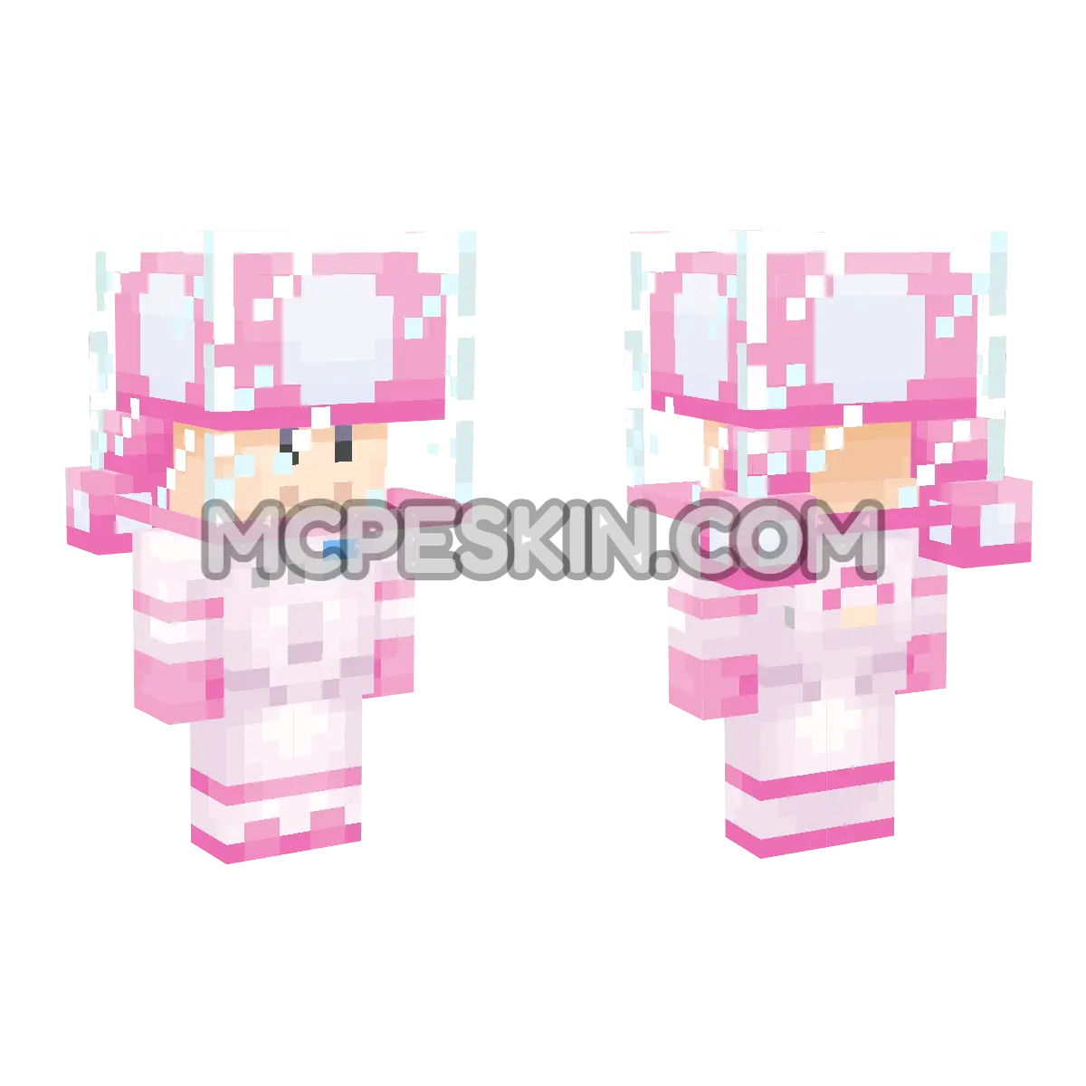 Toadette (Astronaut) 4D Minecraft Bedrock skin