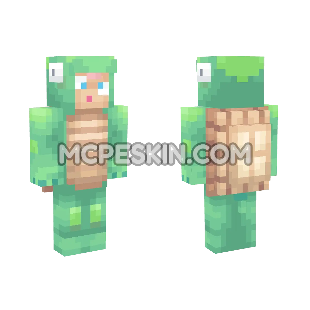 Turtle 4D Minecraft Bedrock skin