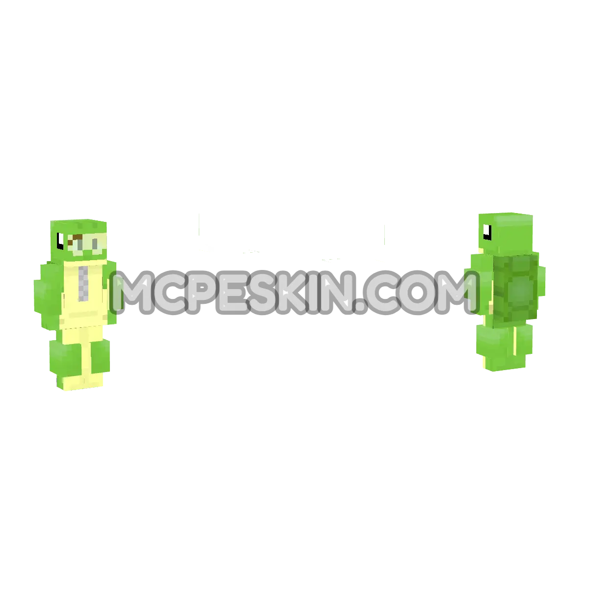 Turtles 4D Minecraft Bedrock skin