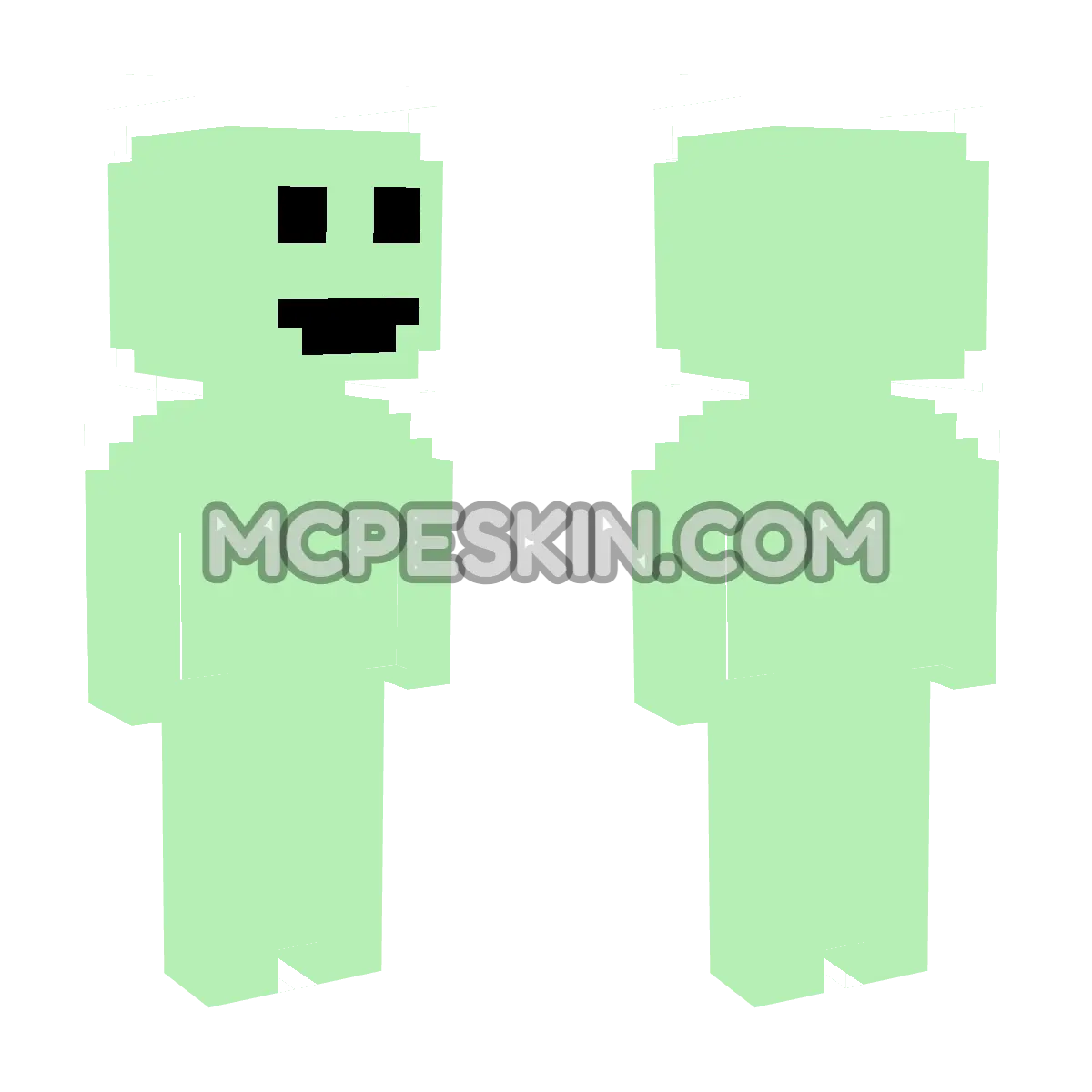 Verdigris 4D Minecraft Bedrock skin