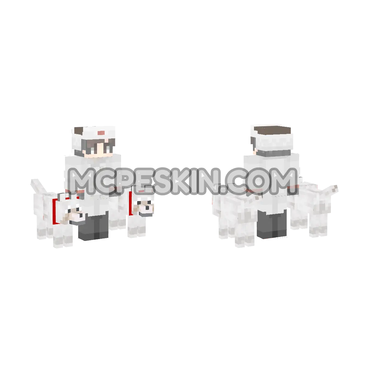 Walking Dogs 4D Minecraft Bedrock skin