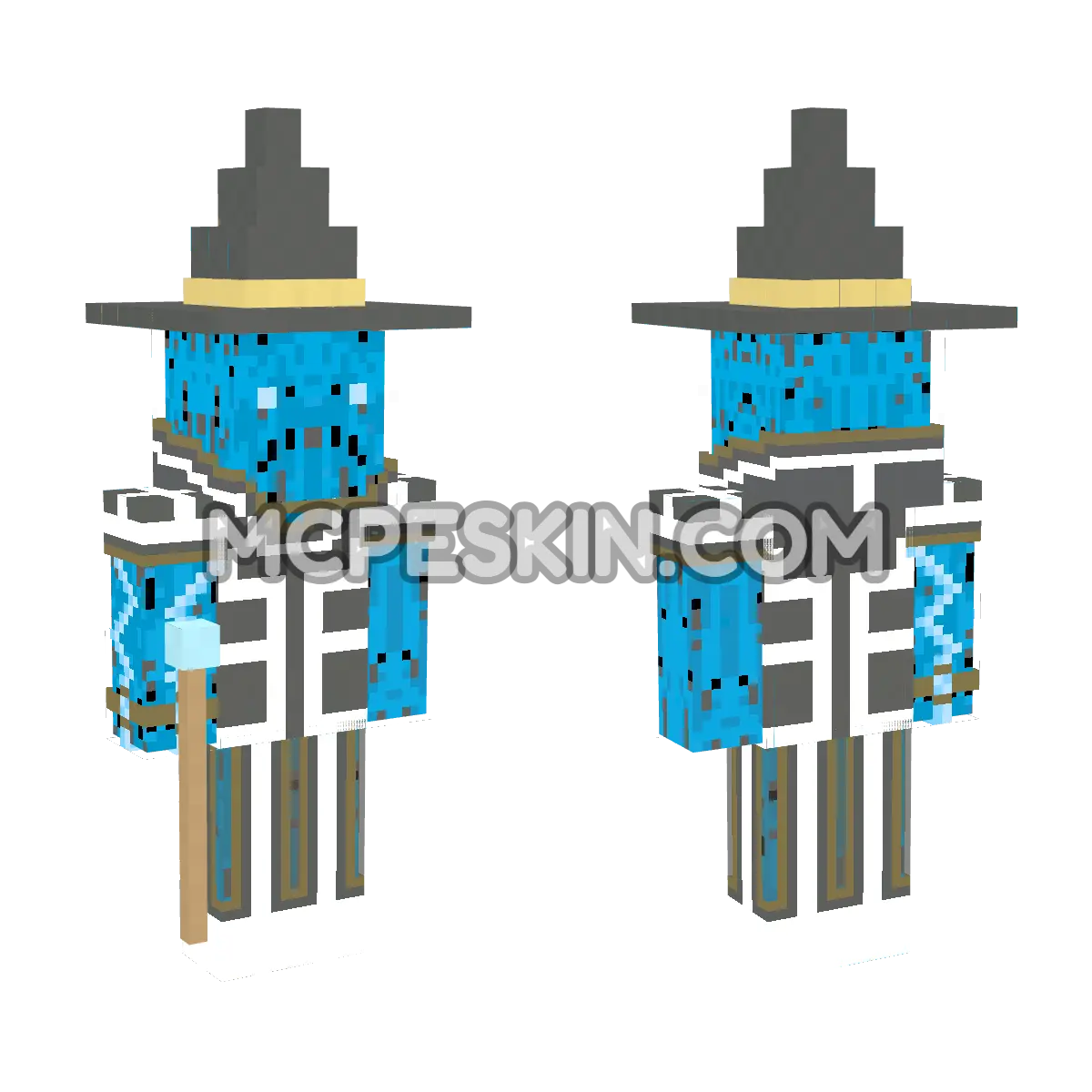 Wizard 2 4D Minecraft Bedrock skin