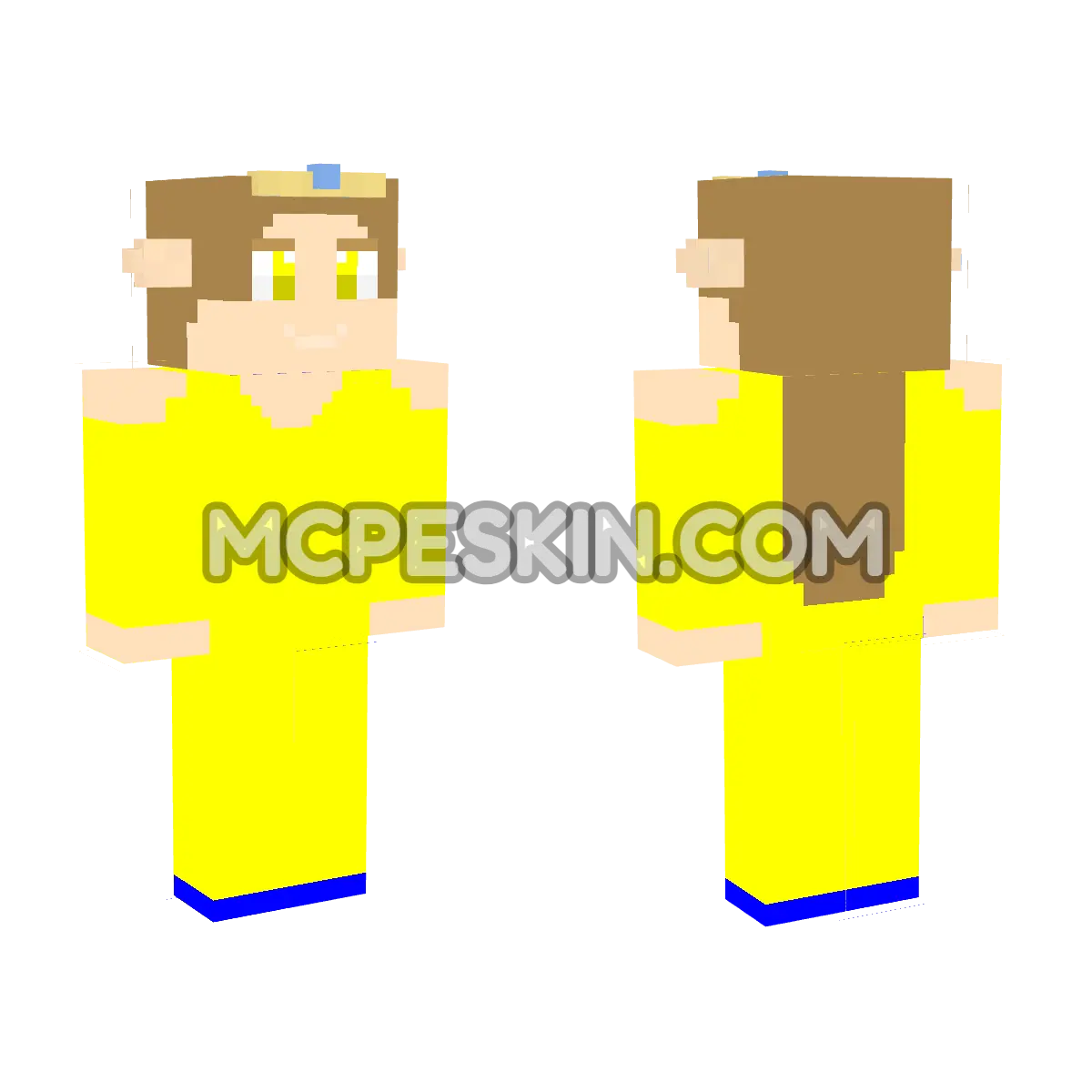 Zelda 11 4D Minecraft Bedrock skin