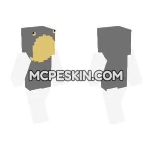Abc 6906081 Minecraft Bedrock skin