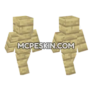 Birch Planks Outfit Minecraft Bedrock skin