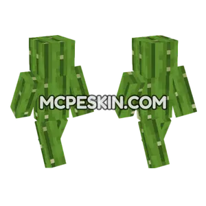 Cactus Skin Minecraft Bedrock skin