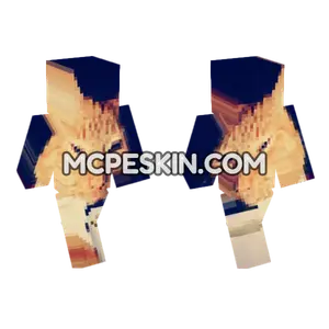 Cat 10 Minecraft Bedrock skin
