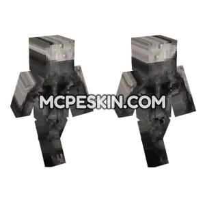 Cat 11 Minecraft Bedrock skin