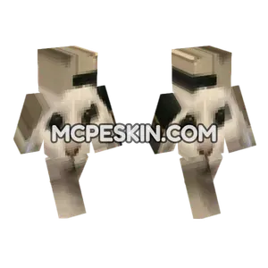 Cat 12 Minecraft Bedrock skin