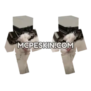 Cat 18 Minecraft Bedrock skin