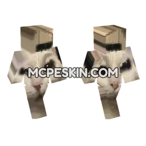 Cat 2 Minecraft Bedrock skin