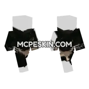 Cat 20 Minecraft Bedrock skin