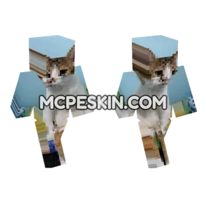 Cat 22 Minecraft Bedrock skin