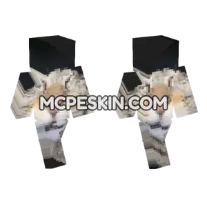Cat 23 Minecraft Bedrock skin
