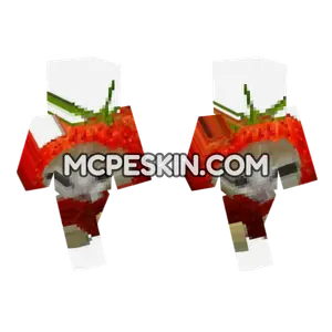 Cat 4 Minecraft Bedrock skin