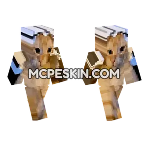 Cat 7 Minecraft Bedrock skin