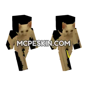 Cat Skin Minecraft Bedrock skin