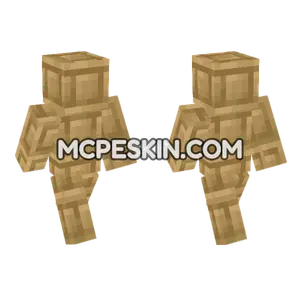 Chiseled Bookshelf Side Minecraft Bedrock skin