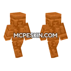 Chiseled Red Sandstone Minecraft Bedrock skin