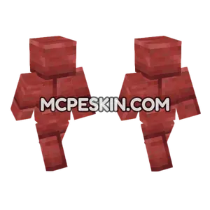 Cinnabar Bricks Minecraft Bedrock skin