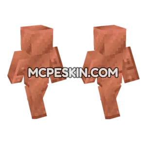 Copper Block Skin Minecraft Bedrock skin