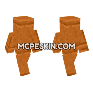Cut Red Sandstone Minecraft Bedrock skin