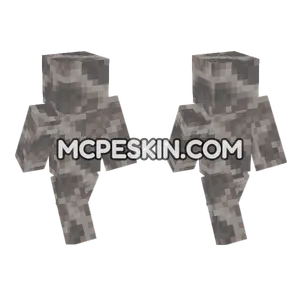 Dead Brain Coral Block Minecraft Bedrock skin