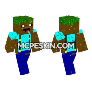 Dirt Block Character