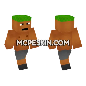Dirt Block Man Minecraft Bedrock skin