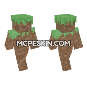 Dirt Block Skin Minecraft Bedrock skin