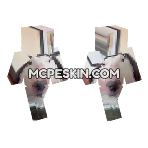 Dog 4 Minecraft Bedrock skin