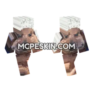 Dog 6 Minecraft Bedrock skin