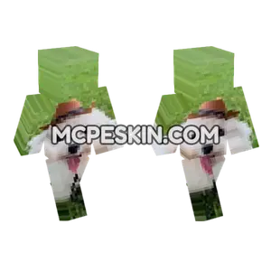 Dog With Hat Minecraft Bedrock skin