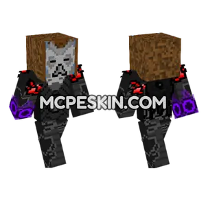 Dragon Priest Mask Armor