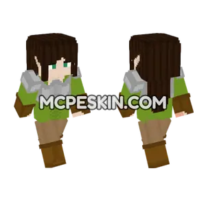 Elf Assassin Minecraft Bedrock skin