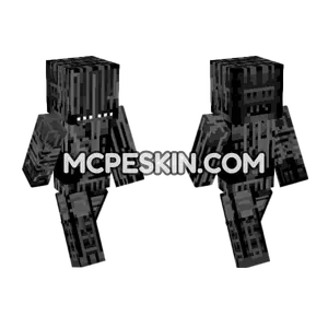 Endo R Missing Minecraft Bedrock skin