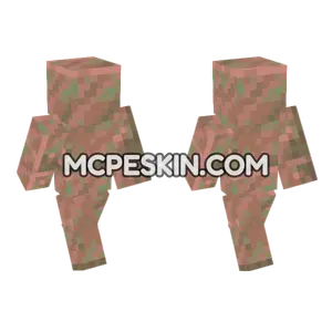Exposed Copper Block Minecraft Bedrock skin
