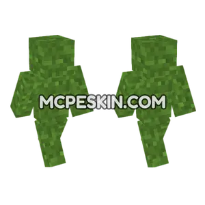 Grass Block Skin Minecraft Bedrock skin